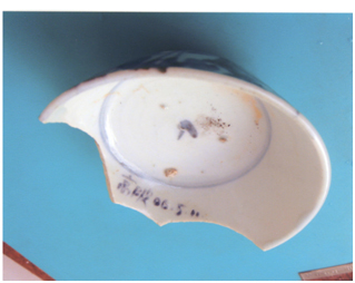 Description: Figure 1a.jpg