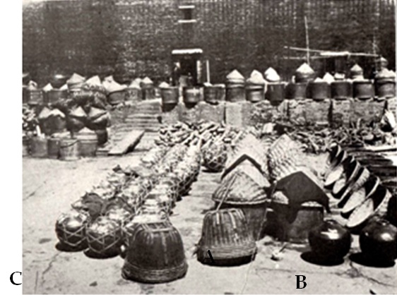 Description: Figure 1a.jpg