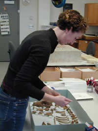 Making an Ethafoam support to immobilize the artifact.