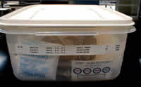 Tupperware