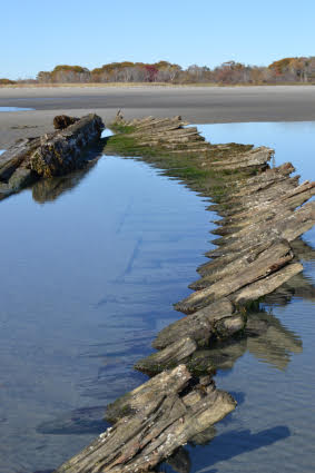 Wrecks in the Sand: The Potential Relationship Between Beached Shipwrecks and Climate Change