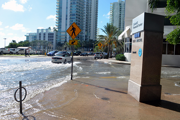 Tidal Flooding Miami