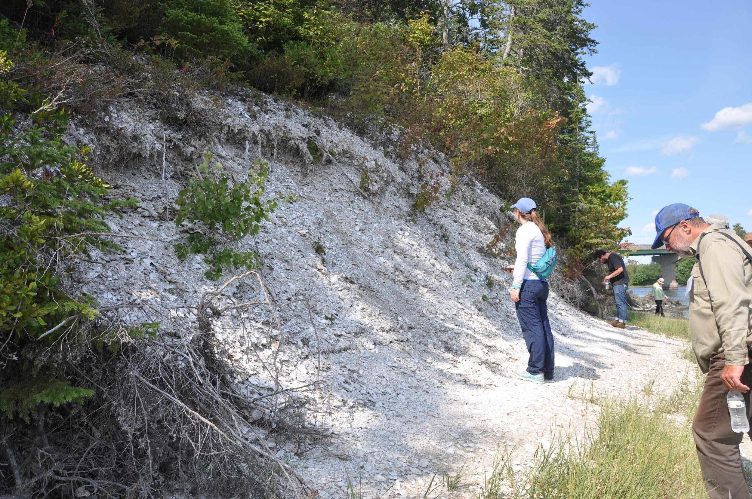 Glidden Midden