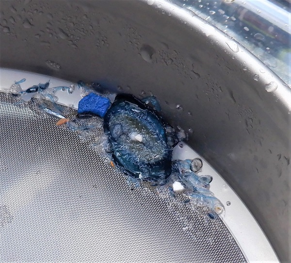 Microplastic Sample