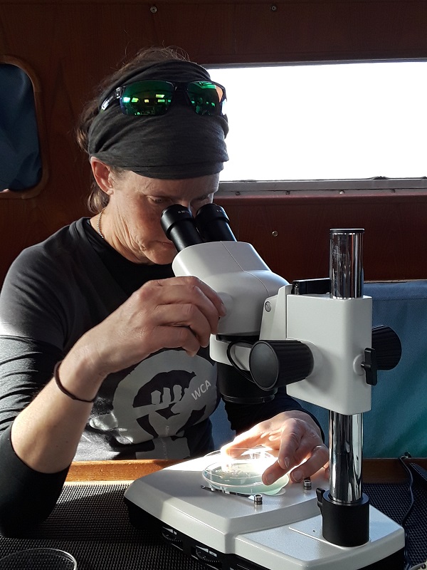 Onboard the S.V. TravelEdge