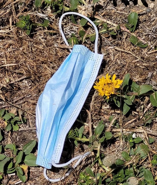 Plastic single use mask