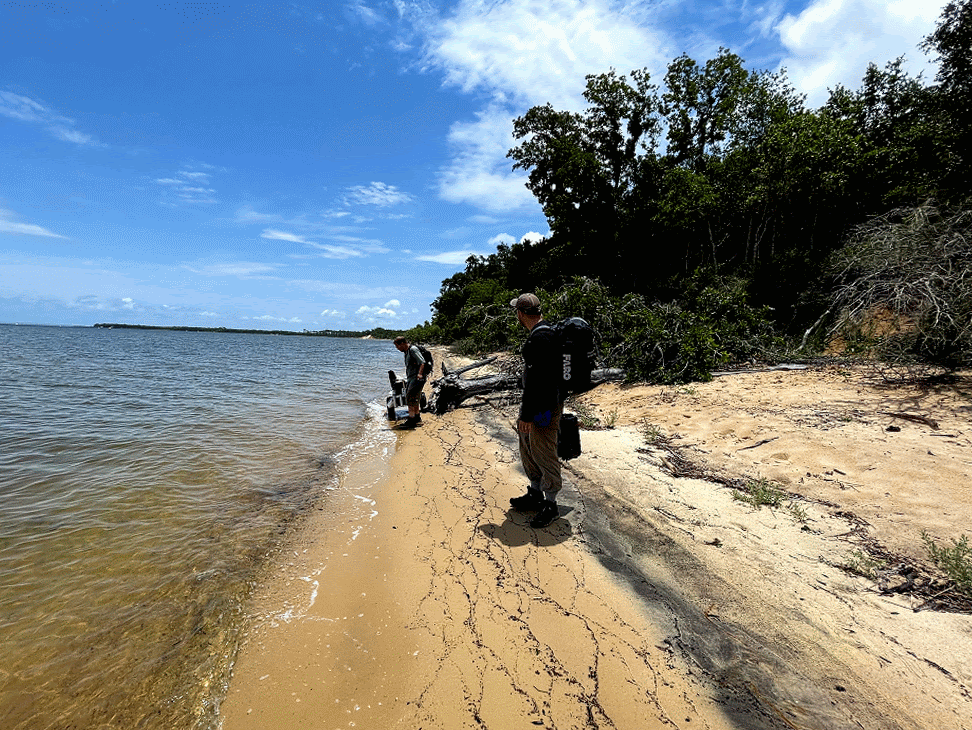 Image 2. FPAN’s Mike Thomin and Jeffery Robinson haul just some of the TLS equipment across Gulf Islands National Seashore. No mean feat, we eventually purchased the fishing cart to help us haul gear to sites like these. (Photo and animation courtesy of Nicole Grinnan)