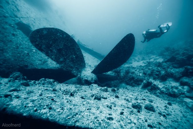 Historic Shipwrecks of The Red Sea