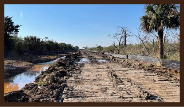 Muddy path bordered by silt fence on the right. Muddy ditch with brown water on the right. Scrubby vegetation and trees is on either side of the mud.